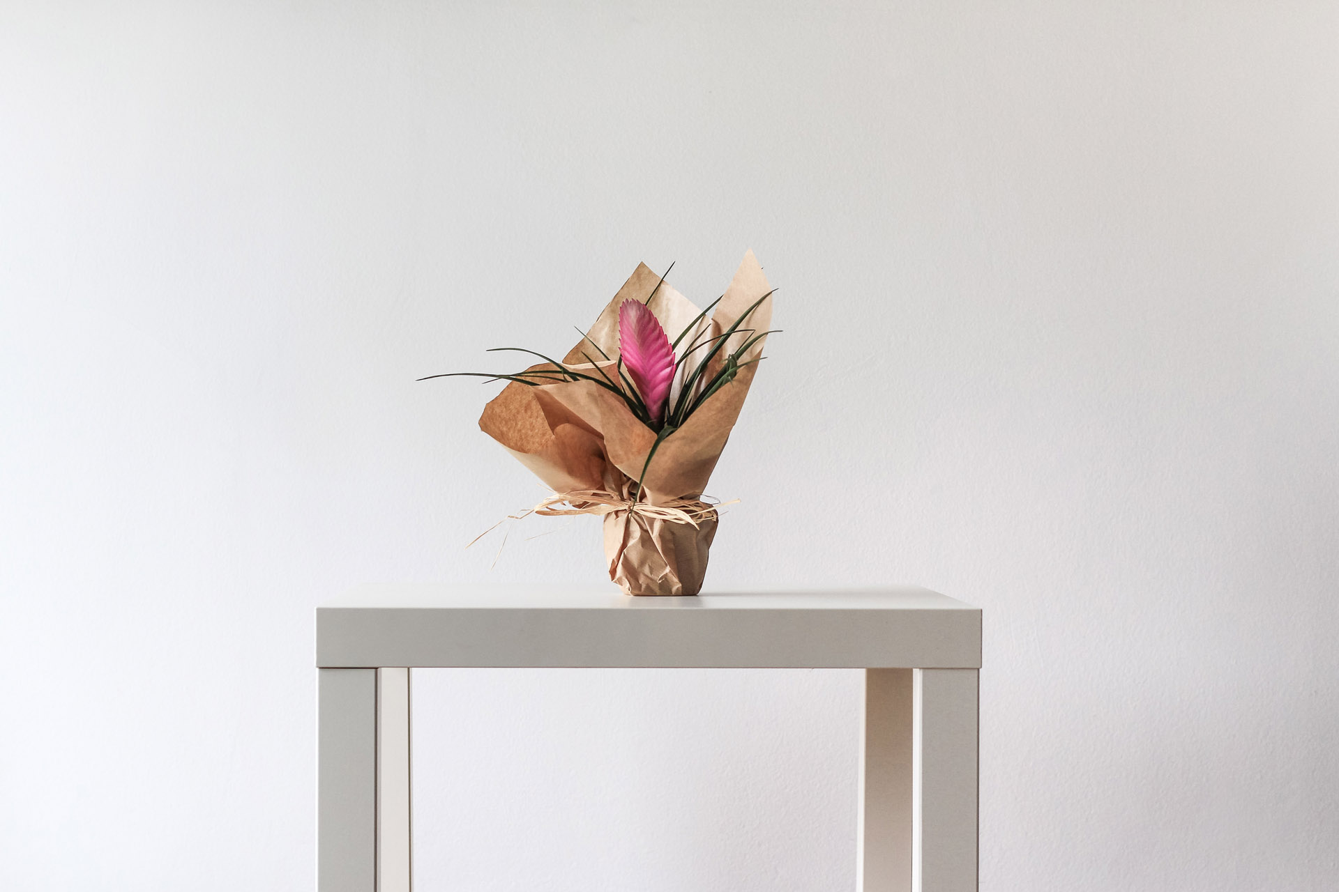 Flower on the table