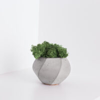 A minimalistic photo with a concrete vase