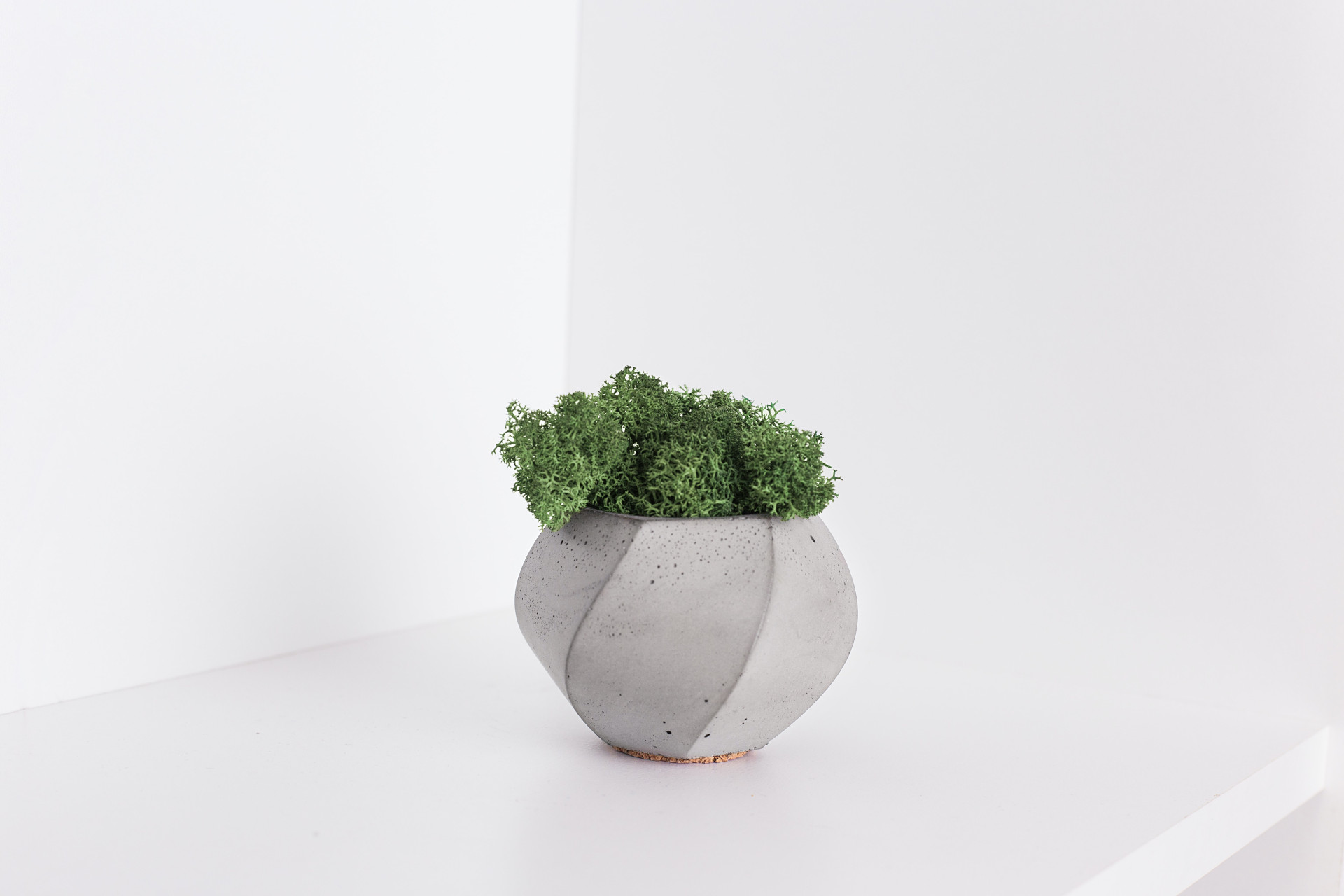 A minimalistic photo with a concrete vase